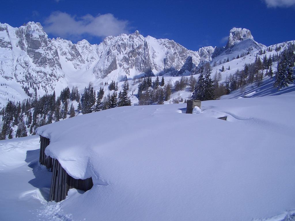 Hausmenneweger Lägenhet Annaberg im Lammertal Rum bild