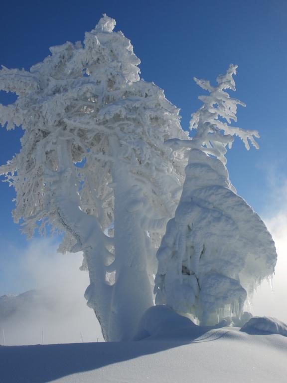 Hausmenneweger Lägenhet Annaberg im Lammertal Exteriör bild