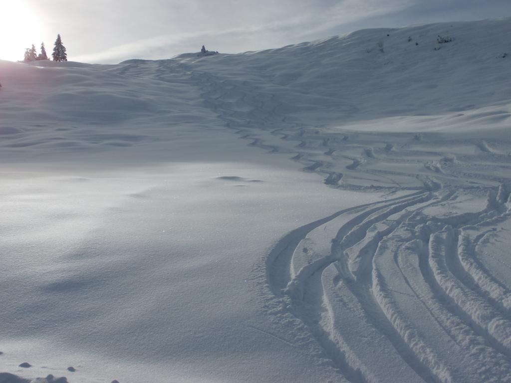 Hausmenneweger Lägenhet Annaberg im Lammertal Exteriör bild